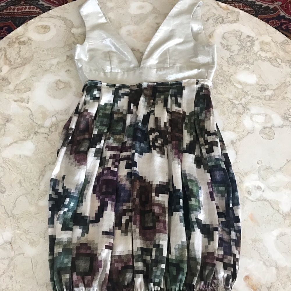 The Penniless Fashionista Silk Mini Dress - Picture 6 of 10